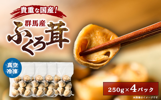 貴重な国産ふくろ茸　袋茸　フクロタケ【冷凍真空パック】丸いもの4パック【配送不可地域：離島】