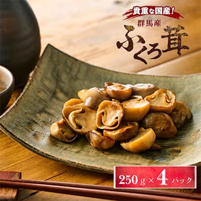 貴重な国産ふくろ茸　袋茸　フクロタケ【冷凍真空パック】丸いもの2パックと開いたもの2パック【配送不可地域：離島】