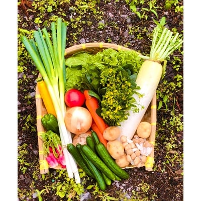 八州高原マルシェ自慢の旬な野菜たち【配送不可地域：離島】