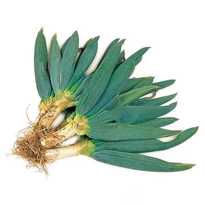 食べてみ殿様ネギ3.5kg～4kg