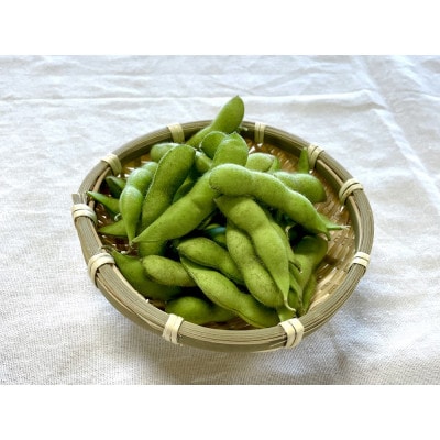 【2026年発送】枝豆(初だるま) 20袋入り 計5kg【ストロベリーみなみ】【配送不可地域：離島】