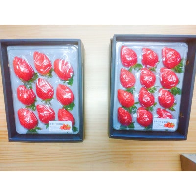 金井いちご農園　贈答用いちご　2パック【配送不可地域：離島・北海道・沖縄県・中国・四国・九州】