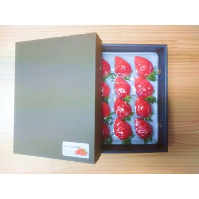 金井いちご農園　贈答用いちご　1パック【配送不可地域：離島・北海道・沖縄県・中国・四国・九州】