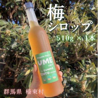 梅シロップ 510ml×1本