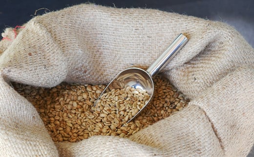 10年熟成 ヴィンテージモカ 200g(100g×2袋) ＜細挽き＞ 石倉 10年 モカマタリ コク 入手困難 希少 F21K-144