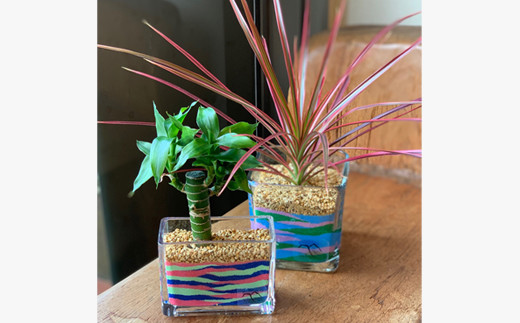 「下仁田ジオパークブランド」認定 カラーサンド観葉セット F21K-177