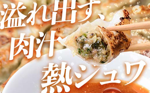 「下仁田名産シリーズ」 下仁田ねぎ殿様餃子 60個（20個×3袋） 餃子 ぎょうざ ギョーザ 中華 冷凍餃子 おかず おつまみ 惣菜 マツコの知らない世界 F21K-488