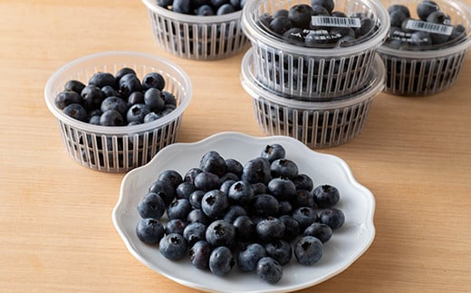 ≪数量・期間限定≫【下仁田町産】こだわりの手摘み 新鮮 生ブルーベリー 600g フレッシュ フルーツ 果物 アントシアニン F21K-195