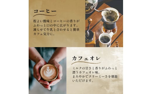 120粒入り！下仁田の蒟蒻ゼリーソフトタイプ2種 カフェセット（2種×10袋6粒入り） F21K-378