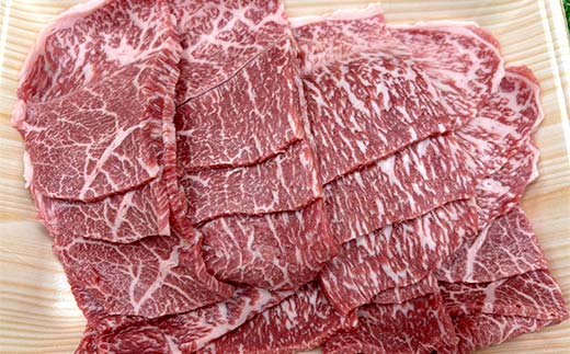 海外で選ばれる上州和牛セット プロが肉市場で厳選！ A5レベルの上州和牛セット（部位:みすじ・さんかく・切り落とし） 2.8kg以上 牛 牛肉 ビーフ 肉 食品 F21K-447