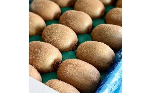 ＜先行予約＞ 2年連続受賞「A品数量限定」下仁田町のキウイフルーツ 約3.6kg(1玉 Mサイズ 95g以上) キウイ フルーツ キウイフルーツ デザート 果物 F21K-463