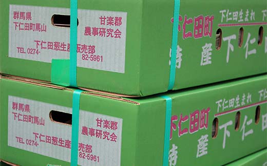 厳選！下仁田葱（Lサイズ 15本） とろける 甘い ねぎ ネギ 王様ねぎ 特産 栄養たっぷり ブランド 上州ねぎ すきやき F21K-593