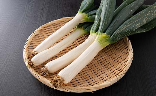 【冬季限定・数量限定】下仁田ねぎの鍋セット ～大学生と共同開発した下仁田ねぎ専用鍋つゆと名産下仁田ねぎと自社製造生芋しらたきをセットにして～ 鍋セット 鍋 なべ 詰め合わせ セット 食品 F21K-670