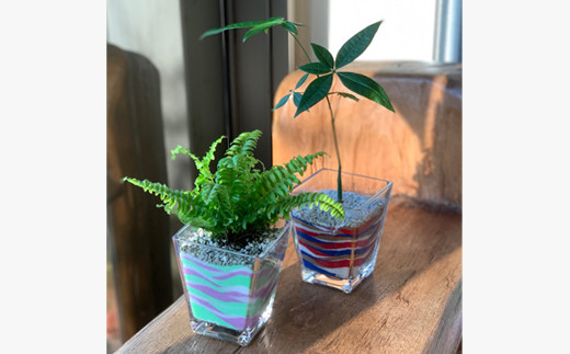 「下仁田ジオパークブランド」認定 カラーサンド観葉セット F21K-177