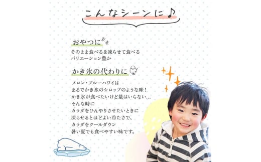 180粒入り！下仁田のフローズンゼリー2種 夏のさわやかセット（2種×15袋6粒入り） F21K-385