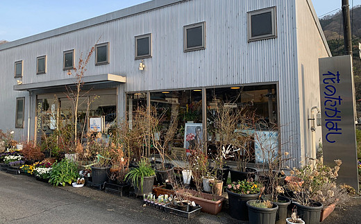 「下仁田ジオパークブランド」認定 カラーサンド観葉セット F21K-177