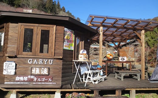 手回しオルゴールGARYU-BAG マイク出力あり F21K-297