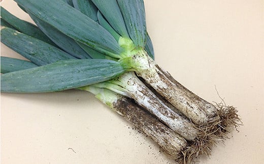 下仁田ネギのすき焼きセット TS すきやき スキヤキ 記念日 お祝い 牛 牛肉ビーフ 食品 F21K-409