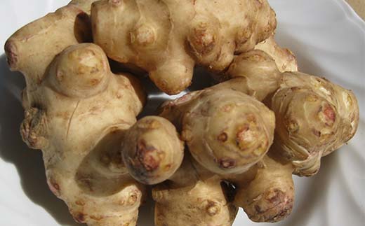 キクイモ健康酒 生キクイモ搾り液発酵酒 酒 アルコール 健康食品 食品 F21K-436