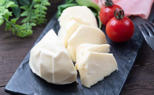 【神津牧場】ジャージー牛の濃厚ミルクで作った発酵バター2缶（450g） とモッツァレラ （100g） F21K-490