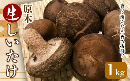 昔なつかしい 原木生しいたけ 椎茸 シイタケ 濃厚 香り 旨みたっぷり だし うまみ ワンランク上 F21K-012