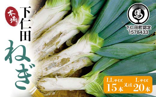 下仁田の広大な畑が生む逸品 下仁田ねぎ（LL15本またはL20本） とろける 甘い ねぎ ネギ 王様ねぎ 殿様ねぎ 特産 栄養たっぷり ブランド 上州ねぎ すきやき F21K-602