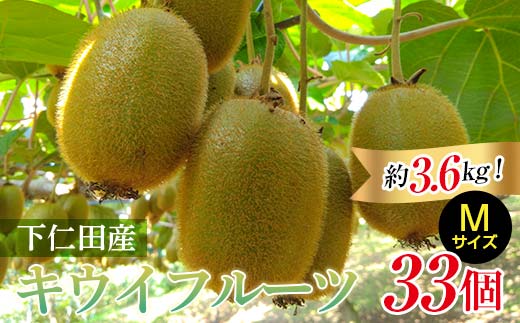 ＜先行予約＞ 2年連続受賞「A品数量限定」下仁田町のキウイフルーツ 約3.6kg(1玉 Mサイズ 95g以上) キウイ フルーツ キウイフルーツ デザート 果物 F21K-463