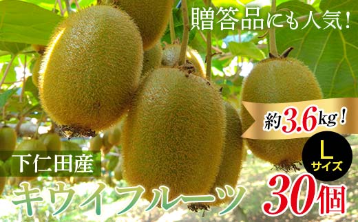 ＜先行予約＞ 2年連続受賞「A品数量限定」下仁田町のキウイフルーツ 約3.6kg(1玉 Mサイズ 95g以上) キウイ フルーツ キウイフルーツ デザート 果物 F21K-463