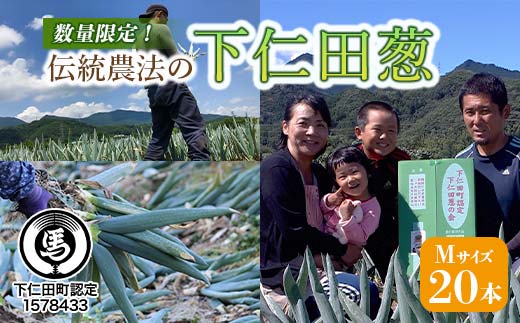 伝統農法の下仁田葱（M 20本） とろける 甘い ねぎ ネギ 王様ねぎ 特産 栄養たっぷり ブランド 上州ねぎ すきやき F21K-573
