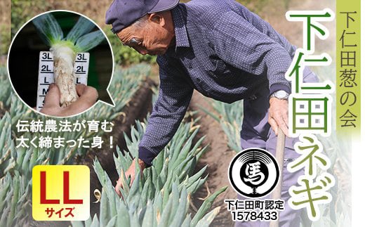 下仁田葱の会の下仁田葱（LLサイズ） とろける 甘い ねぎ ネギ 王様ねぎ 殿様ねぎ 特産 栄養たっぷり ブランド 上州ねぎ すきやき F21K-589