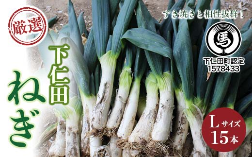 厳選！下仁田葱（Lサイズ 15本） とろける 甘い ねぎ ネギ 王様ねぎ 特産 栄養たっぷり ブランド 上州ねぎ すきやき F21K-593