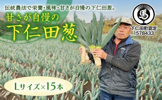 甘さが自慢の下仁田葱（Lサイズ 15本） とろける 甘い ねぎ ネギ 王様ねぎ 殿様ねぎ 特産 栄養たっぷり ブランド 上州ねぎ すきやき F21K-613