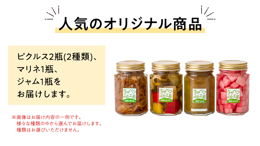 ピクルス2種とマリネとジャムの詰め合わせ 保存食 瓶詰 洋風総菜 詰め合わせ [AB002tu]