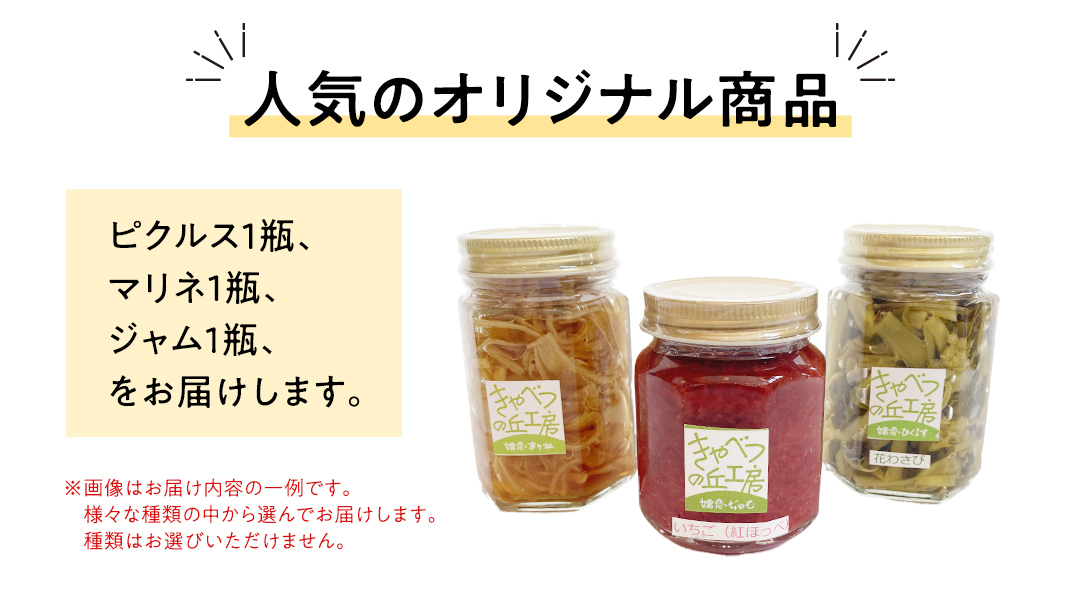 ピクルス 1種 と マリネ と ジャム の 詰め合わせ 惣菜 洋風惣菜 調味料 常備菜 野菜 サラダ セット ギフト 贈答用 熨斗 [AB079tu]