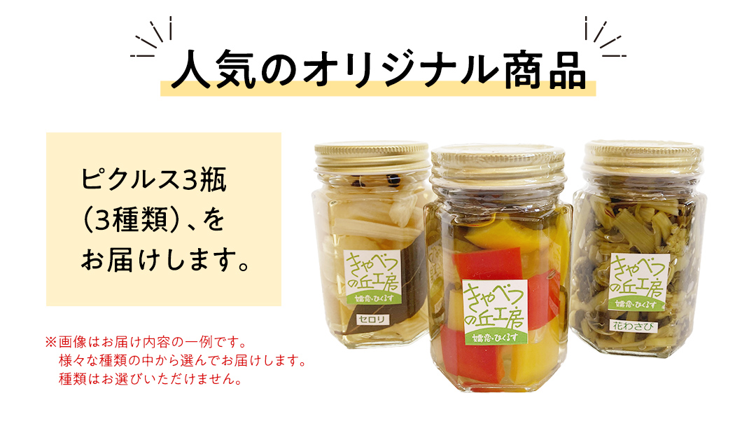 ピクルス 3種 の セット 惣菜 洋風惣菜 常備菜 野菜 サラダ セット ギフト 贈答用 熨斗 [AB080tu]
