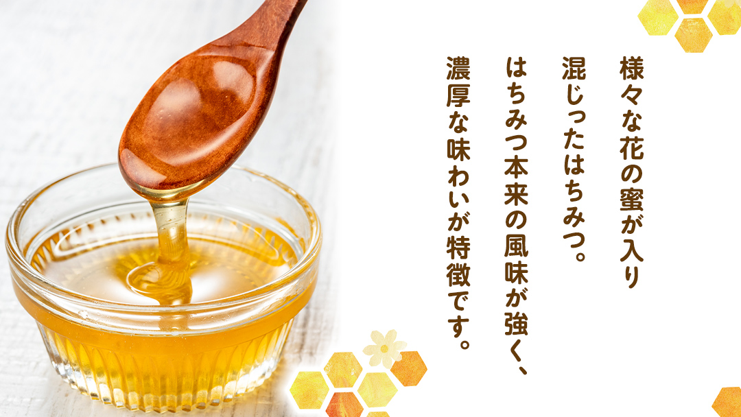 愛妻はちみつ ( 百花 ) 250g × 2個 セット はちみつ ハチミツ 国産 蜂蜜 群馬 おすすめ つまごいビーガーデン [AC004tu]