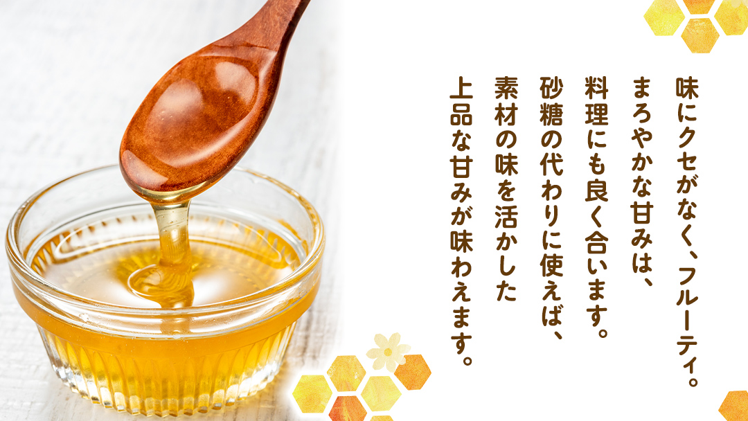 嬬恋村 愛妻はちみつ ( アカシア ) 500g × 2個セット はちみつ 国産 ハチミツ 蜂蜜 群馬 アカシア [AC011tu]