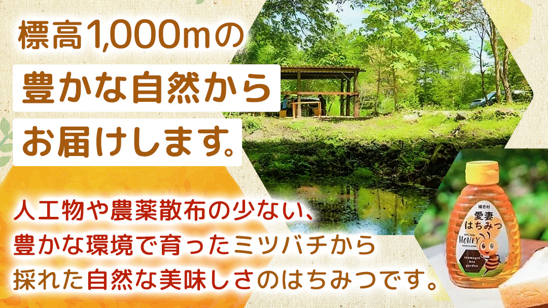 嬬恋村 愛妻はちみつ ( アカシア ) 500g と 250g の 2個 セット はちみつ 国産 ハチミツ 蜂蜜 群馬 アカシア [AC013tu]