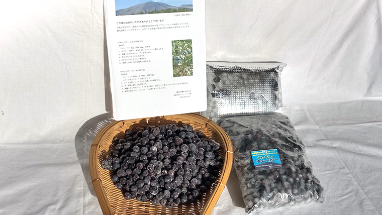 【数量限定】冷凍 ブルーベリー 1kg 国産 群馬県 フルーツ 果物 北軽井沢ブルーベリー園 お取り寄せ 産地直送 ジャム スムージー ヨーグルト [AD002tu]