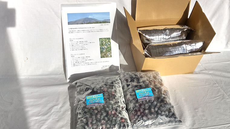 【数量限定】 冷凍ブルーベリー 2kg 国産 群馬県 フルーツ 果物 北軽井沢ブルーベリー園 1kg × 2袋 お取り寄せ 産地直送 ジャム スムージー ヨーグルト [AD003tu]