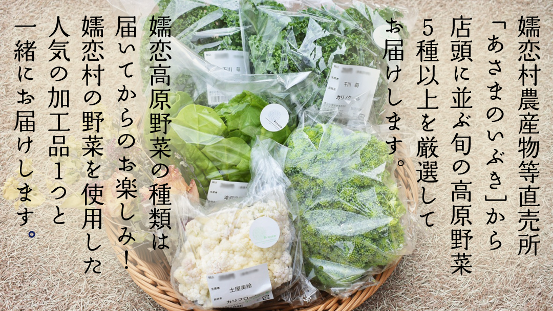 本日のおまかせ 高原野菜 5種以上 の 詰合せ と 加工品 1つ のセット 計10kg おまかせ 野菜 野菜セット 旬の野菜 産地直送 嬬恋キャベツ 加工品 酢 佃煮 漬物 惣菜 [AF028tu]