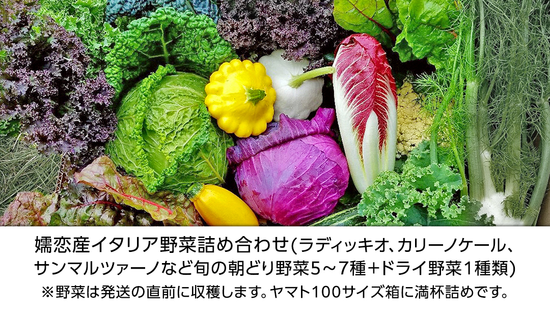【 7月中旬以降発送開始 】 嬬恋産 季節の 西洋野菜 詰め合わせ 先行予約 2026年発送 産地直送 野菜 野菜セット 旬の野菜 産地直送 期間限定 通販 お取り寄せ 関東 群馬 出荷時期限定 [AG001tu]