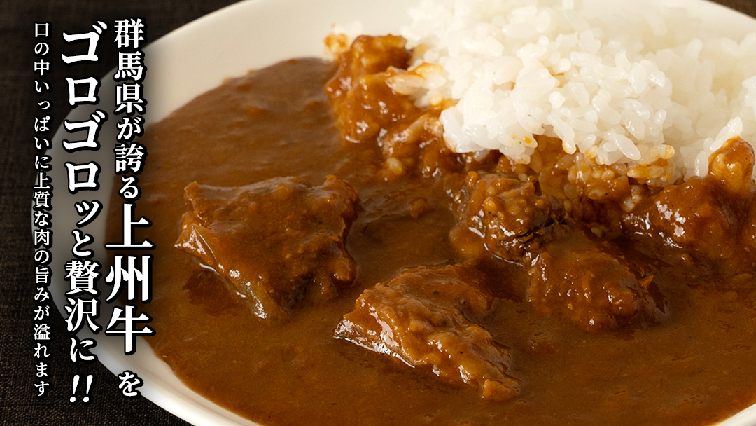 上州牛カレー レトルト 200g × 10パック 嬬恋キャベツ使用 レトルトカレー 食べ比べ レンチン レンジ おかず 温めるだけ 長期保存可 災害対策 ローリングストック 非常食 防災 キャンプ 詰め合わせ 牛肉 洋食 クリスマス お正月 [AH065tu]