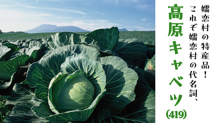 【9/10入金確認分まで】  嬬恋キャベツ と旬の 高原 野菜 セット 1～2人 様向け 旬の野菜 先行予約 キャベツ 群馬 419 嬬恋キャベツ 産地直送 少量 詰め合わせ アソート [AK001tu]