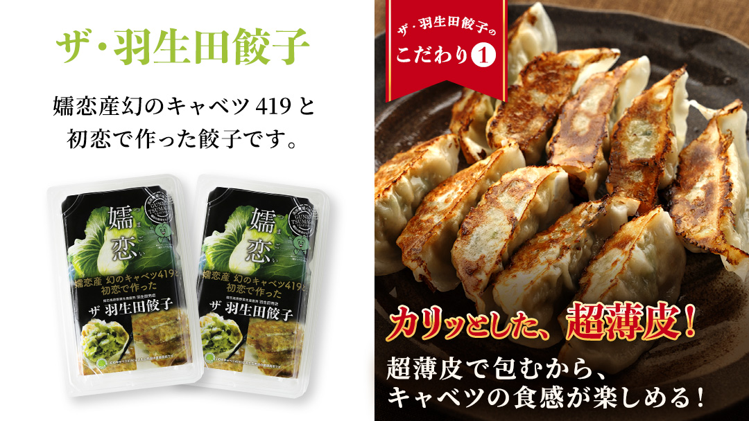 まぼろしのキャベツ419使用 ザ・羽生田餃子 15個 × 13パック 合計195個 ぎょうざ 豚肉 ギョウザ 小分け キャベツ 419 特産品 人気 冷凍 中華 中華惣菜 惣菜 大容量 [AL003tu]