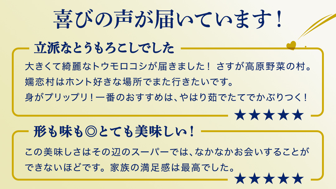 【8月下旬発送開始】 甘～いトウモロコシ 恵味 5kg 約10～12本 とうもろこし 産地直送 羽生田売店 期間限定 先行予約 人気 朝採り お取り寄せ 関東 群馬 先行受付 [AL005tu02]