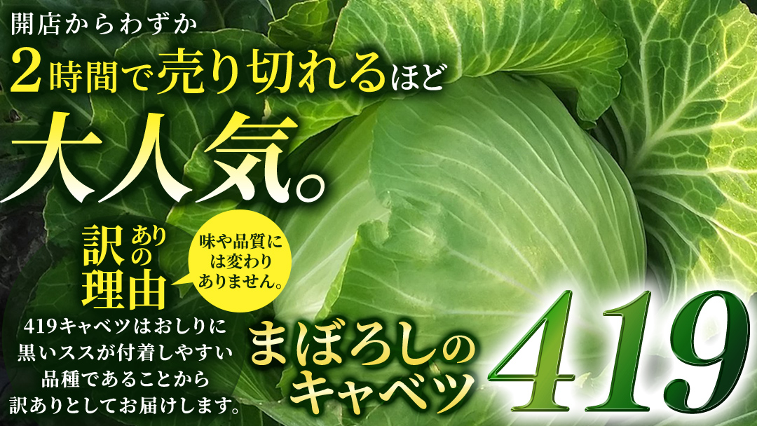 【7月中旬発送開始】訳あり まぼろしの419キャベツ 4玉 きゃべつ 嬬恋村産キャベツ 羽生田売店 幻のキャベツ419 産地直送 期間限定 人気 朝採り 通販 お取り寄せ 関東 群馬 出荷時期限定 ZIP! 先行予約 [AL006tu]