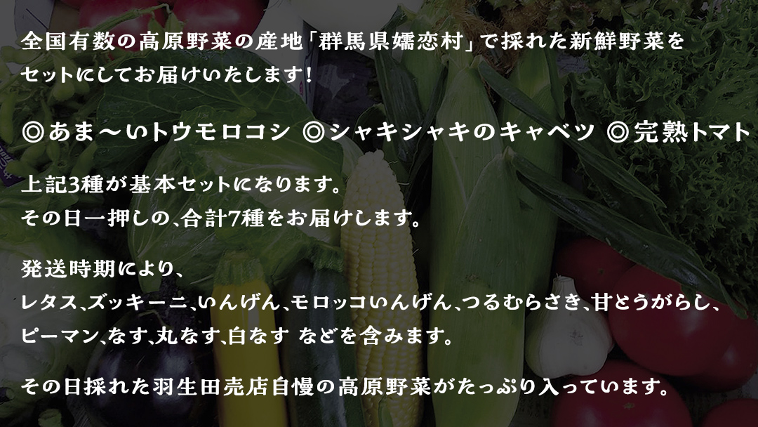 朝採り野菜 嬬恋高原 夏の味覚7種セット 高原野菜セット 産地直送 きゃべつ 嬬恋村産キャベツ 羽生田売店 期間限定 先行予約 人気 朝採り お取り寄せ 関東 群馬 [AL008tu]