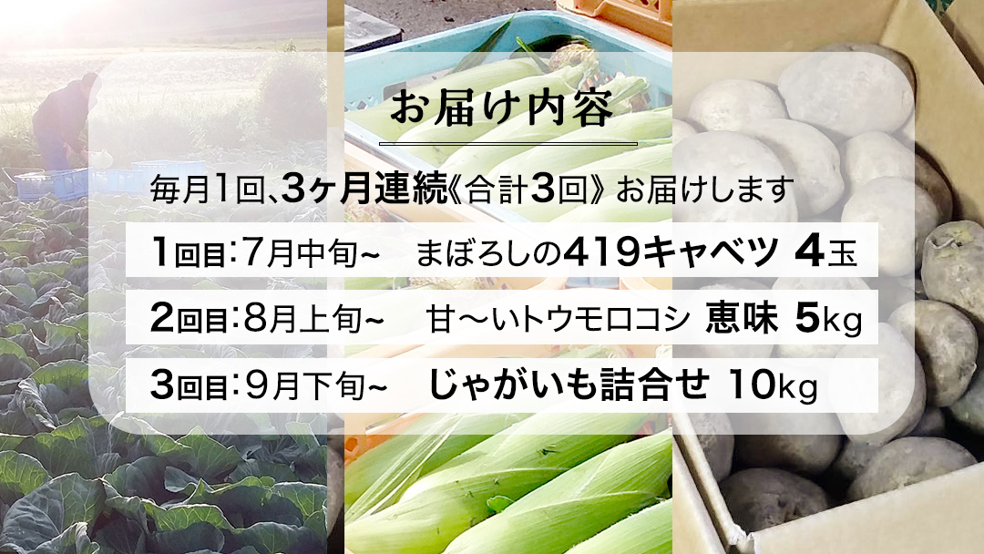 【 2025年 7月 発送開始 】 《3か月定期便》旬の野菜3種 419キャベツ 恵味トウモロコシ じゃがいも きゃべつ 嬬恋村産キャベツ 羽生田売店 幻のキャベツ419 産地直送 期間限定 先行予約 人気 朝採り 通販 お取り寄せ 関東 群馬 出荷時期限定 先行受付 [AL018tu]