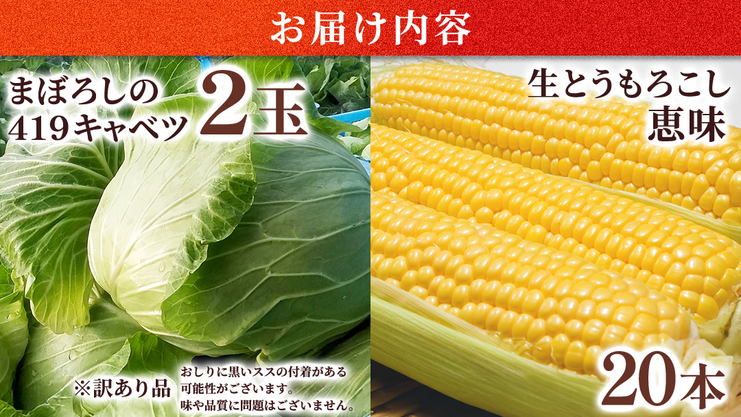 ＜ 8月上旬 発送開始 ＞ 朝採り野菜 人気2種セット まぼろしの419キャベツ 2玉 と 甘～いトウモロコシ 恵味 20本 とうもろこし きゃべつ キャベツ トウモロコシ 嬬恋村産キャベツ 幻のキャベツ419 産地直送 羽生田売店 期間限定 人気 朝採り お取り寄せ 関東 群馬 先行予約 通販 出荷時期限定 [AL022tu]